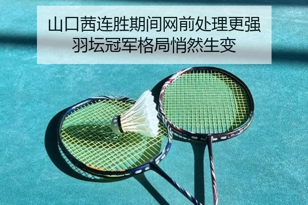 山口茜连胜期间网前处理更强 羽坛冠军格局悄然生变 | bet365