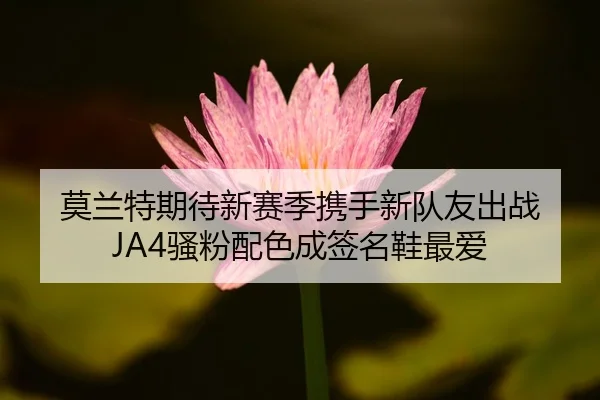 莫兰特期待新赛季携手新队友出战 JA4骚粉配色成签名鞋最爱 | bet365